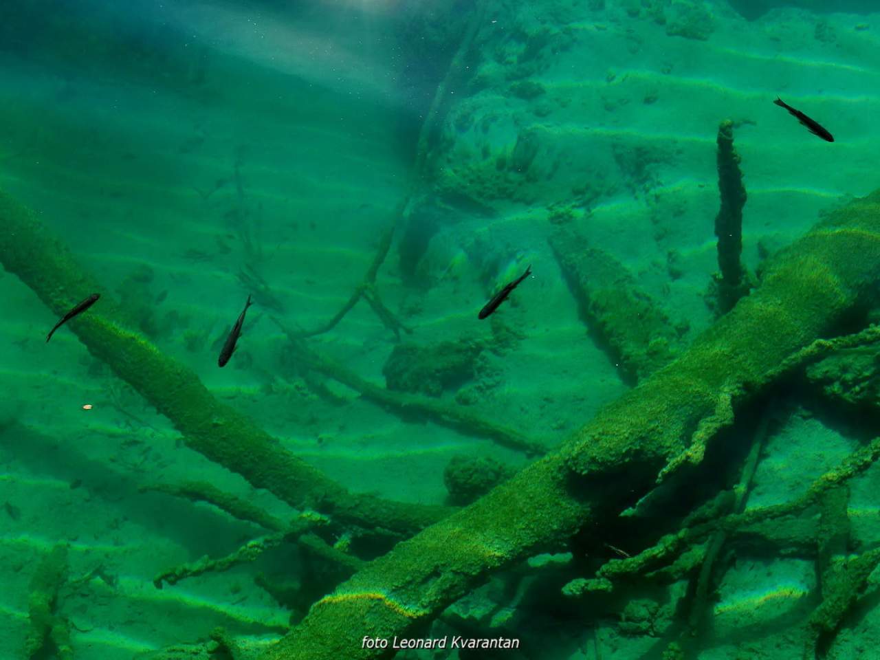 NP Plitvička jezera, listopad 2021.