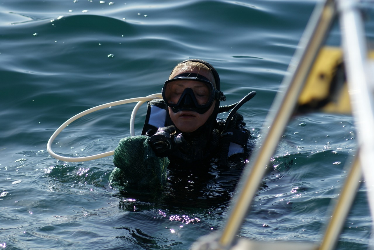 Eko Vir 2024.: Čišćenje podmorja u Radovanjici, Miljkovici i Prezidi Eko Vir 2024.: Čišćenje podmorja u Radovanjici, Miljkovici i Prezidi