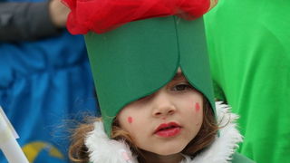 Virski karnevalić 2016. Virski karnevalić 2016.