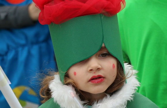 Virski karnevalić 2016. Virski karnevalić 2016.