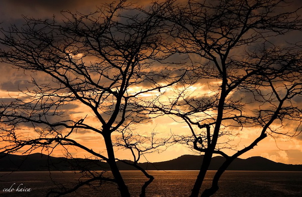 Čarobni zadarski svibanjski zalasci i sutoni, Foto: Čedo Kaica Čarobni zadarski svibanjski zalasci i sutoni, Foto: Čedo Kaica