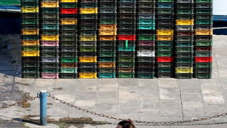 Zadar, 290312.
Proteklih dana lijepo vrijeme posluzilo je ribarima. 
Na fotografiji: ribari iskrcavaju frisku ribu na Liburnijskoj obali u Zadru.
Foto: Andrija Lucic /  Cropix