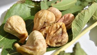 U sklopu 9. Festivala smokve na Trgu pet bunara održava se sajam smokava na kojem proizvođači i prerađivači izlažu i prodaju svoje artikle. Photo: Dino Stanin/PIXSELL U sklopu 9. Festivala smokve na Trgu pet bunara održava se sajam smokava na kojem proizvođači i prerađivači izlažu i prodaju svoje artikle. Photo: Dino Stanin/PIXSELL