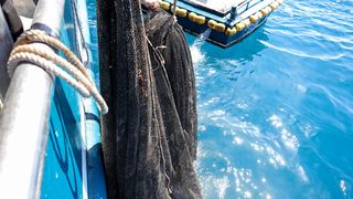 Ekološka manifestacija “Uz more, za more: zelena misija za održivu budućnost Hrvatske” održala se danas na plivarici Škoda koja je jutros u 11 sati isplovila iz zadarske luke Gaženica prema Ugljanu gdje će se provela akcija izvlačenja odbačenih ribarskih Ekološka manifestacija “Uz more, za more: zelena misija za održivu budućnost Hrvatske” održala se danas na plivarici Škoda koja je jutros u 11 sati isplovila iz zadarske luke Gaženica prema Ugljanu gdje će se provela akcija izvlačenja odbačenih ribarskih