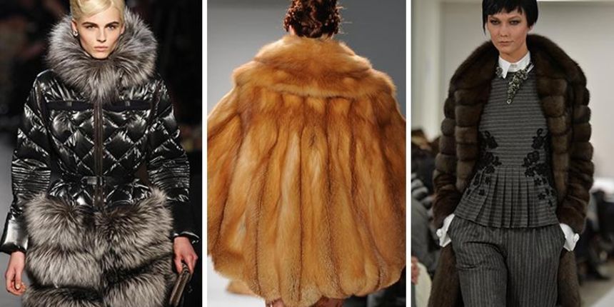 Krzno, bunde, foto: Screenshot Krzno, bunde, foto: Screenshot