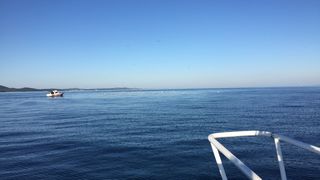 Vježba intervencije kod iznenadnog onečišćenja mora