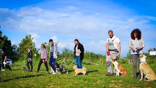 Kinološka udruga Malinois