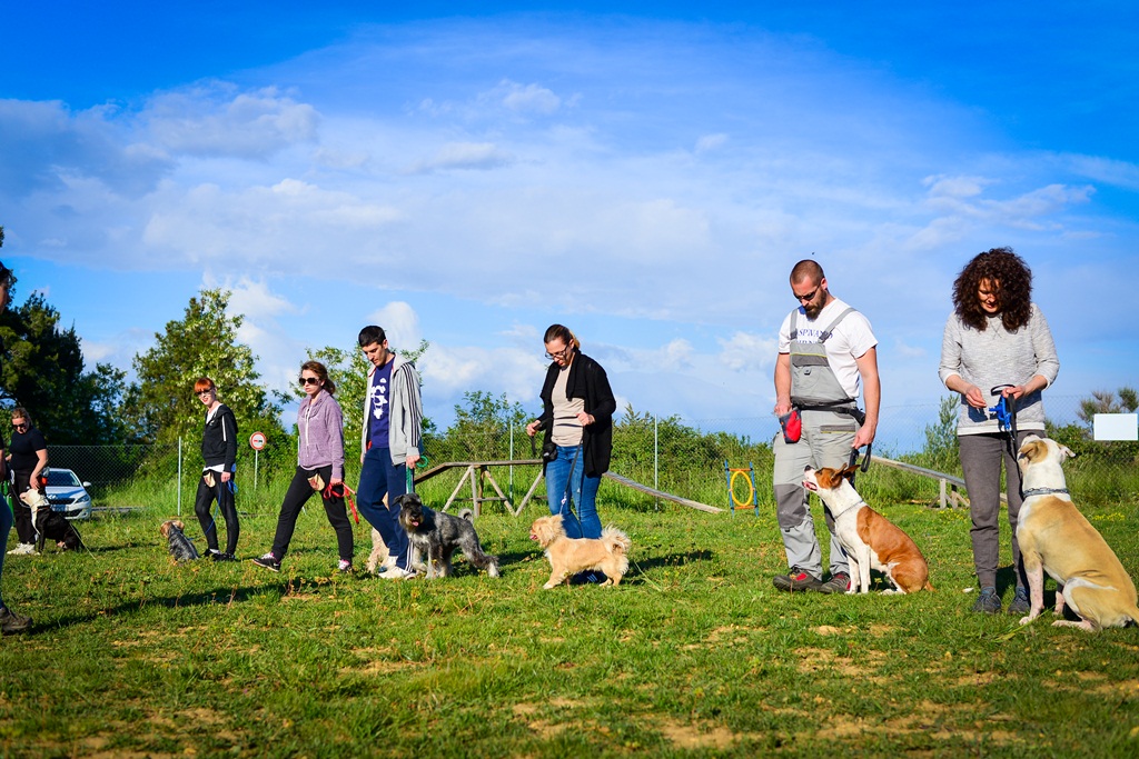 Kinološka udruga Malinois
