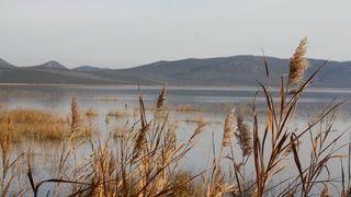 Đir uz Vransko jezero, Foto: Iva Perinić Đir uz Vransko jezero, Foto: Iva Perinić