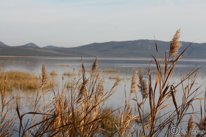 Đir uz Vransko jezero, Foto: Iva Perinić Đir uz Vransko jezero, Foto: Iva Perinić