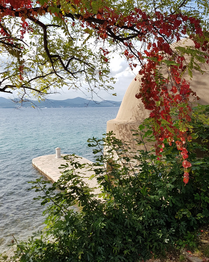 Boje zadarske jeseni. Foto: Mladen Malik