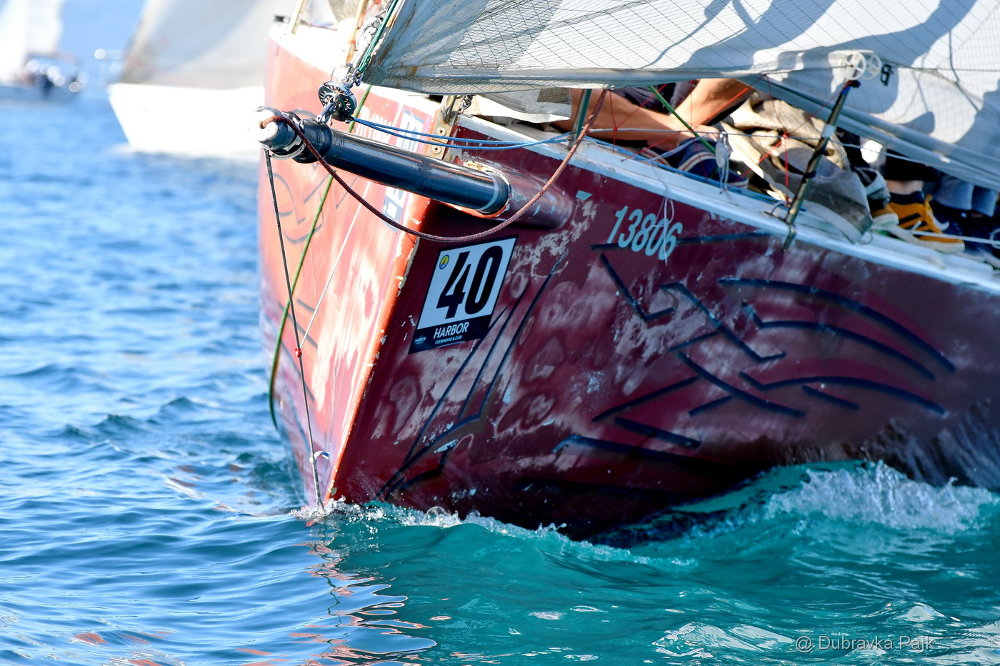 Sva lica “Zadarske koke” Sva lica “Zadarske koke”