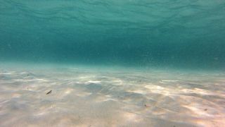 Ljetni dana na dugootočkoj plaži Sakarun, biseru Mediterana s prekrasnim tirkiznim morem, Foto: Filip Brala/PIXSELL Ljetni dana na dugootočkoj plaži Sakarun, biseru Mediterana s prekrasnim tirkiznim morem, Foto: Filip Brala/PIXSELL