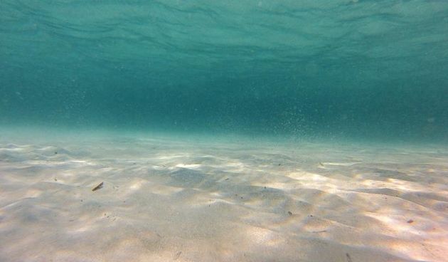Ljetni dana na dugootočkoj plaži Sakarun, biseru Mediterana s prekrasnim tirkiznim morem, Foto: Filip Brala/PIXSELL