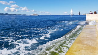 Zadarska Koka 2016. 22. listopada 2016. Foto: Mladen Malik Zadarska Koka 2016. 22. listopada 2016. Foto: Mladen Malik