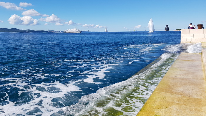 Zadarska Koka 2016. 22. listopada 2016. Foto: Mladen Malik Zadarska Koka 2016. 22. listopada 2016. Foto: Mladen Malik