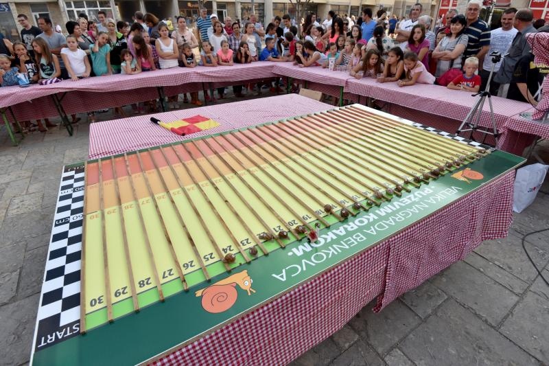 U sklopu Benkovackog kulturnog ljeta Grad Benkovac i Turisticka zajednica Grada Benkovca vec cetvrtu godinu za redom organiziraju manifestaciju Puzevim korakom. Radi se o gastro manifestaciji pripreme i degustacije puzeva. Posjetitelji su imali prilike d U sklopu Benkovackog kulturnog ljeta Grad Benkovac i Turisticka zajednica Grada Benkovca vec cetvrtu godinu za redom organiziraju manifestaciju Puzevim korakom. Radi se o gastro manifestaciji pripreme i degustacije puzeva. Posjetitelji su imali prilike d