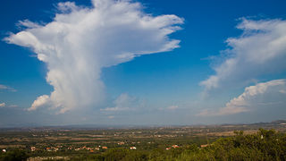 Polača: 14. Međunarodne konjičke utrke “Oluja 95”, Foto: Leo Banić Polača: 14. Međunarodne konjičke utrke “Oluja 95”, Foto: Leo Banić
