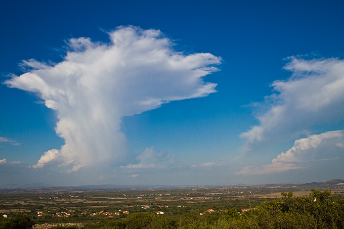 Polača: 14. Međunarodne konjičke utrke “Oluja 95”, Foto: Leo Banić Polača: 14. Međunarodne konjičke utrke “Oluja 95”, Foto: Leo Banić