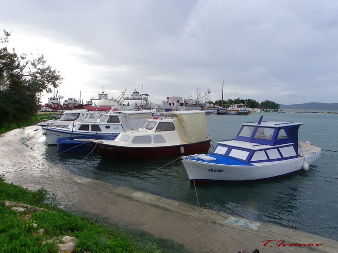 Plima u uvali Bregdetti, foto: T. Ivanov