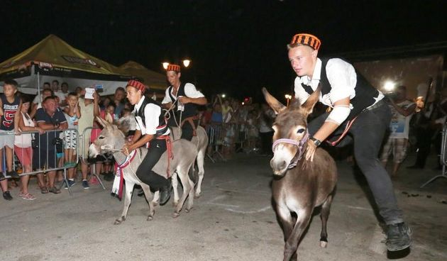 50. jubilarna utrka tovara u Tribunju