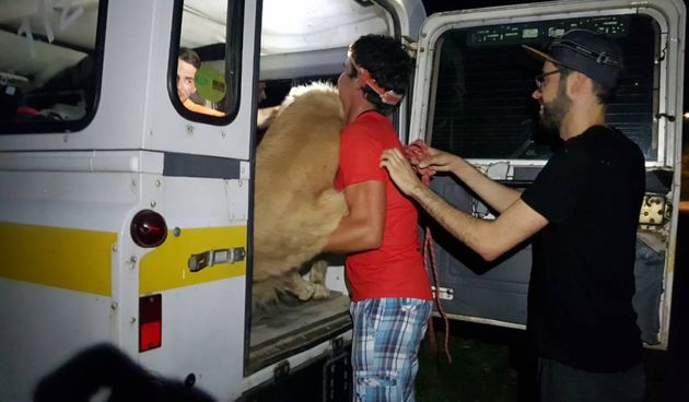 HGSS spašavao dvoje zalutalih njemačkih turista i psa