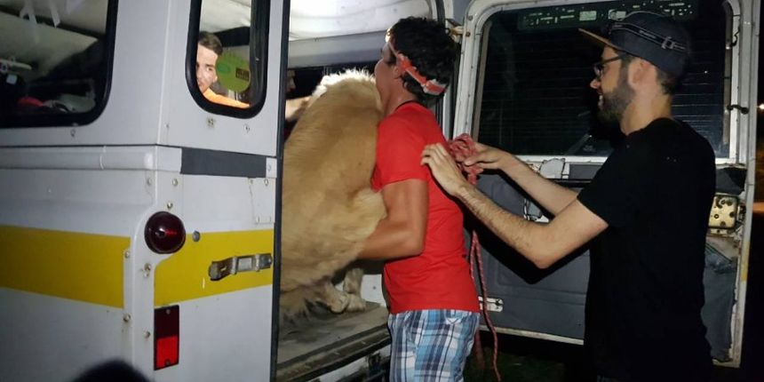 HGSS spašavao dvoje zalutalih njemačkih turista i psa