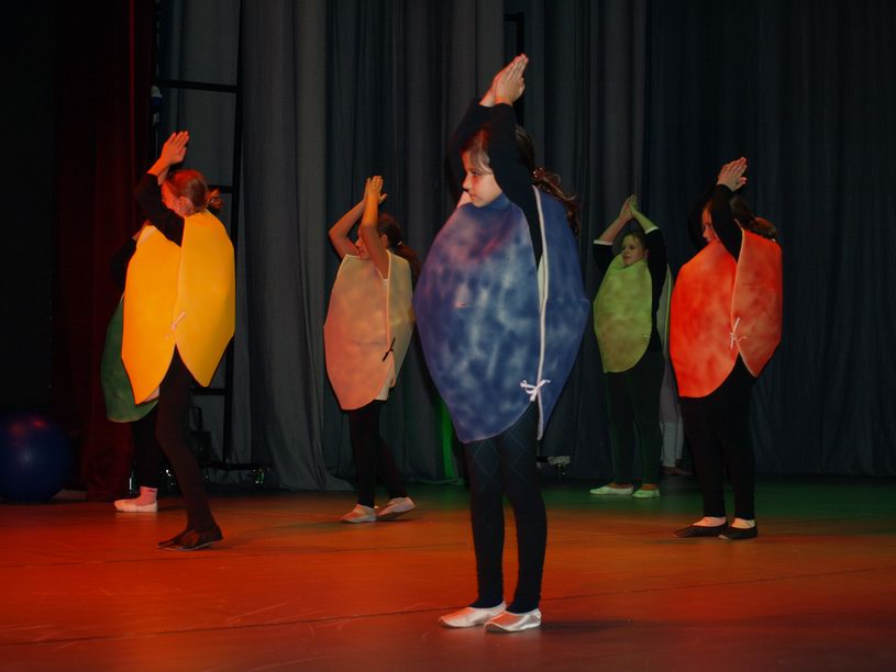 Plesno kazalisna udruga Zalet