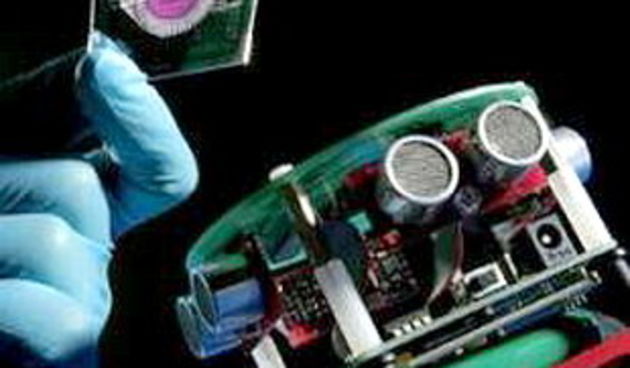 Robot s mozgom štakora (foto: net.hr)