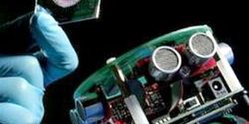 Robot s mozgom štakora (foto: net.hr)