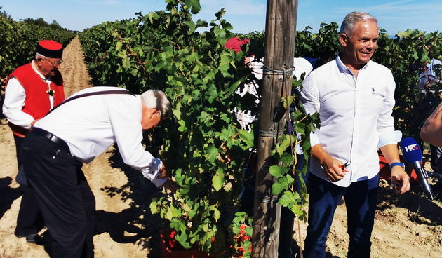 Vinari u Nadinu službeno otvorili sezonu berbe