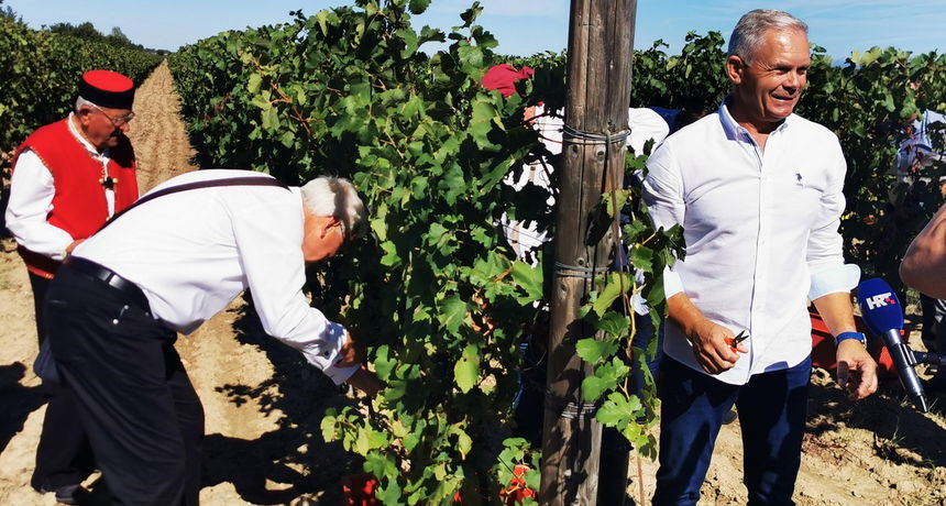 Vinari u Nadinu službeno otvorili sezonu berbe Vinari u Nadinu službeno otvorili sezonu berbe