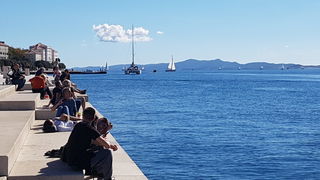 Zadarska Koka 2016. 22. listopada 2016. Foto: Mladen Malik Zadarska Koka 2016. 22. listopada 2016. Foto: Mladen Malik