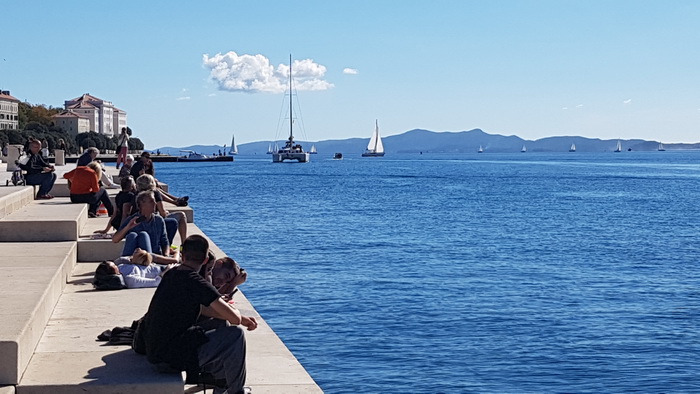 Zadarska Koka 2016. 22. listopada 2016. Foto: Mladen Malik Zadarska Koka 2016. 22. listopada 2016. Foto: Mladen Malik