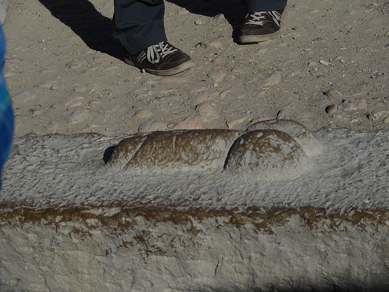 Skitnja Casablancom, foto: Pero Šindija