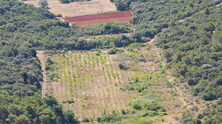 Grad Zadar iz zraka, foto: Leo Banić