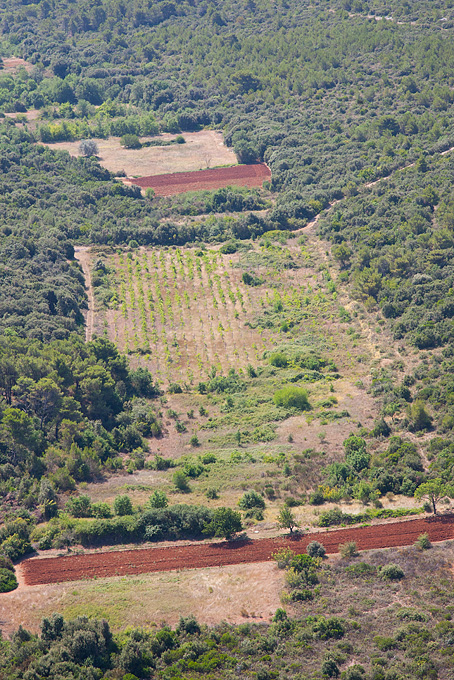 Grad Zadar iz zraka, foto: Leo Banić