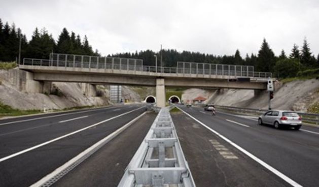 Autocesta (Foto: Tea Čimaš/Cropix)