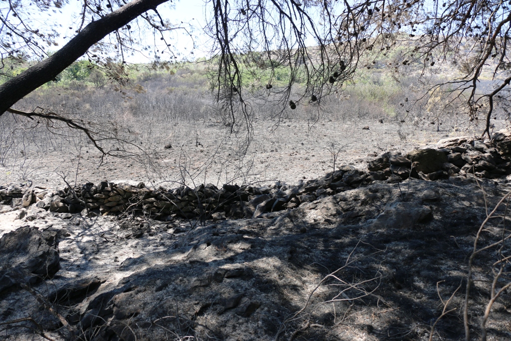 Vir: Požar u Lozicama u potpunosti ugašen Vir: Požar u Lozicama u potpunosti ugašen