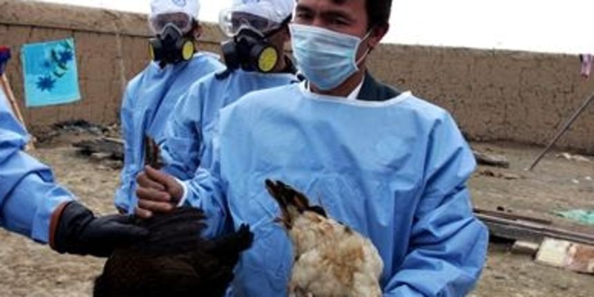 Image 1202537 (auto) Image 1202537 (auto)