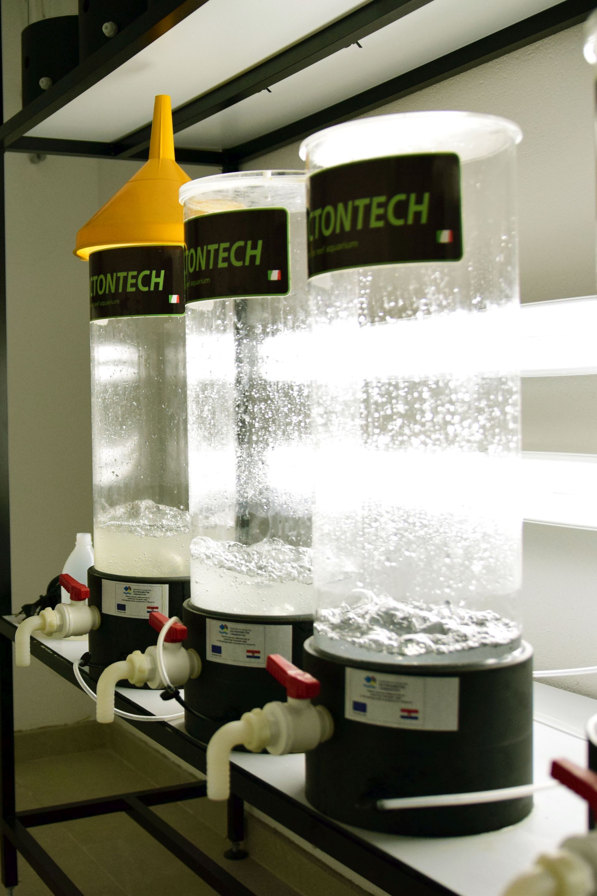 Strani studenti na združenom studiju Biotehnologija mora Strani studenti na združenom studiju Biotehnologija mora