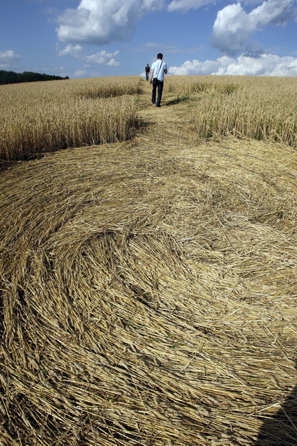 Cakovec, 280610.
Izmedju mjesta Donji Koncovscak i Sveti Martin na Muri u zitu pojavili su se misteriozni krugovi. Mjestani okolnih kuca ne vjeruju da se radi o vanzemaljcima, vec da je rijec o sali lokalnih mjestana.
Foto: Zeljko Hajdinjak / CROPIX Cakovec, 280610.
Izmedju mjesta Donji Koncovscak i Sveti Martin na Muri u zitu pojavili su se misteriozni krugovi. Mjestani okolnih kuca ne vjeruju da se radi o vanzemaljcima, vec da je rijec o sali lokalnih mjestana.
Foto: Zeljko Hajdinjak / CROPIX