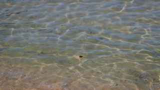 Uvala Lovrečina: Egzotična pješčana oaza na Braču u kojoj su uživali i stari Rimljani Uvala Lovrečina: Egzotična pješčana oaza na Braču u kojoj su uživali i stari Rimljani