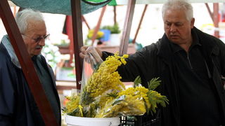 Zadar, 080313.
Danas se diljem svijeta, pa tako i u Zadru, obiljezava Medjunarodni dan zena.
Zadrani su danas zenama, prema obicaju, poklanjali cvijece.
Na fotografiji: detalj sa zadarske trznice.
Foto: Jure Miskovic / CROPIX