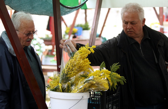 Zadar, 080313.
Danas se diljem svijeta, pa tako i u Zadru, obiljezava Medjunarodni dan zena.
Zadrani su danas zenama, prema obicaju, poklanjali cvijece.
Na fotografiji: detalj sa zadarske trznice.
Foto: Jure Miskovic / CROPIX