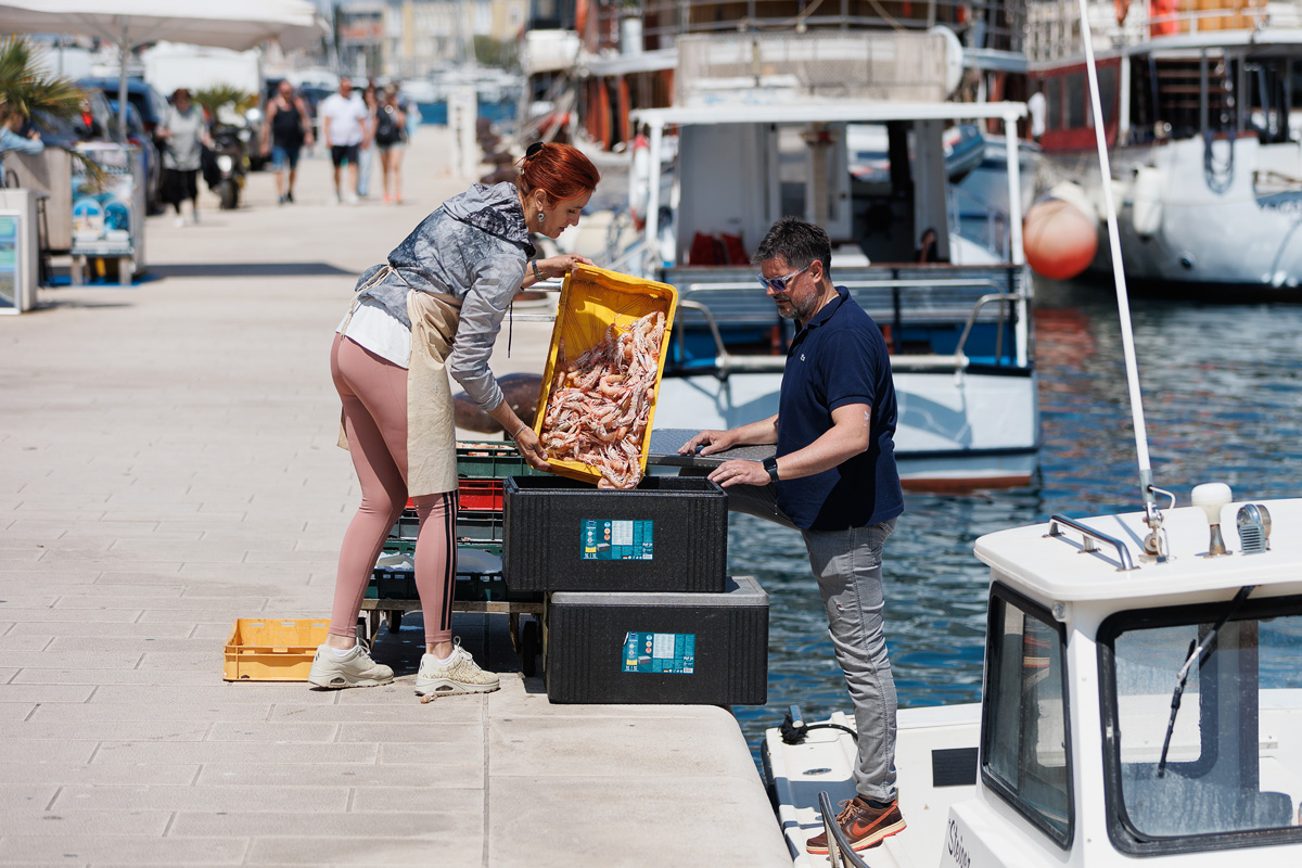 Đir po gradu, 24. travnja 2025. Đir po gradu, 24. travnja 2025.