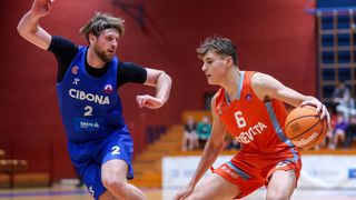 Niko šare, KK Cedevita Junior