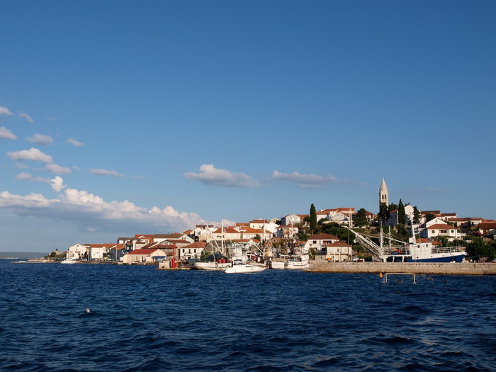 Kualjska tunuara 2010, Foto: Vedran Penga