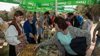 U Vrtovima lunjskih maslina održana 12. Lunjska maslinada. Foto: Vinko Pešić