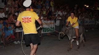 10. međunarodna trka tovarov Tisno 2015